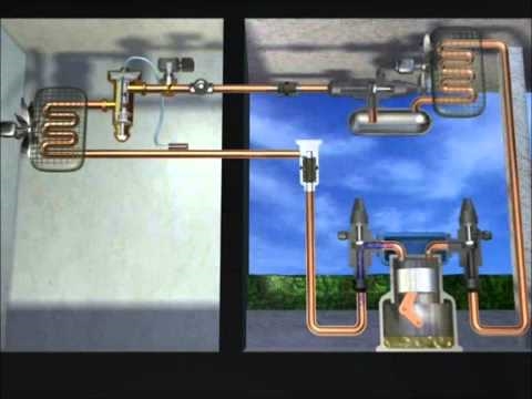 ¿Cómo funciona un sistema de refrigeración de amoníaco?
