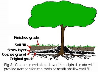 Як підвищити ґрунт ґрунту навколо будинку