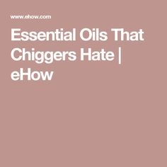 Esenciálne oleje, ktoré Chiggers nenávidia