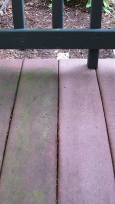 Comment nettoyer la mousse et les algues d'une terrasse en bois