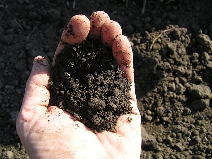 Proprietățile solului argilos