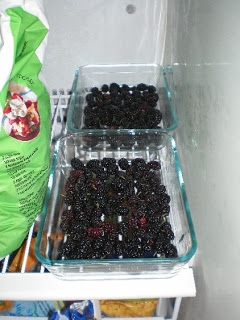 Cara Memilih dan Menyimpan Mulberry