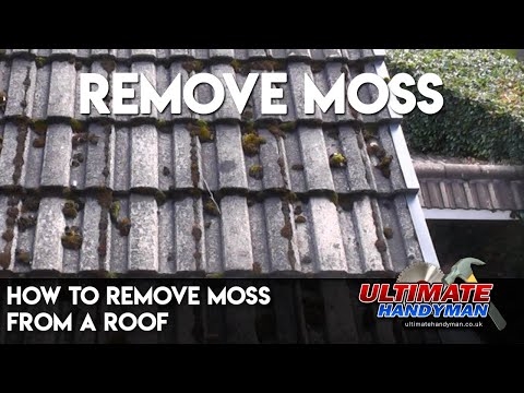 Як видалити мох з цегли