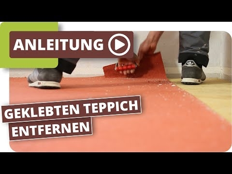 So entfernen Sie festsitzende Schaumstoff-Teppichpolster von einem Zementboden