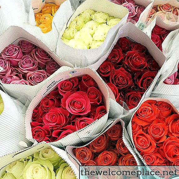11 نوعا من الزهور لإعطاء يوم عيد الحب الذي يقدم رسالة خفية مثالية