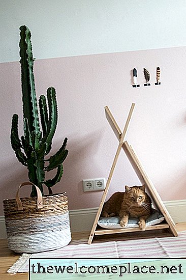 15 Instagram que demuestran que tener mascotas hace que tu hogar sea más elegante