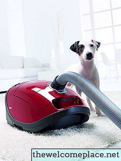 5 Gründe, warum wir von Miele HomeCare Vacuums total besessen sind