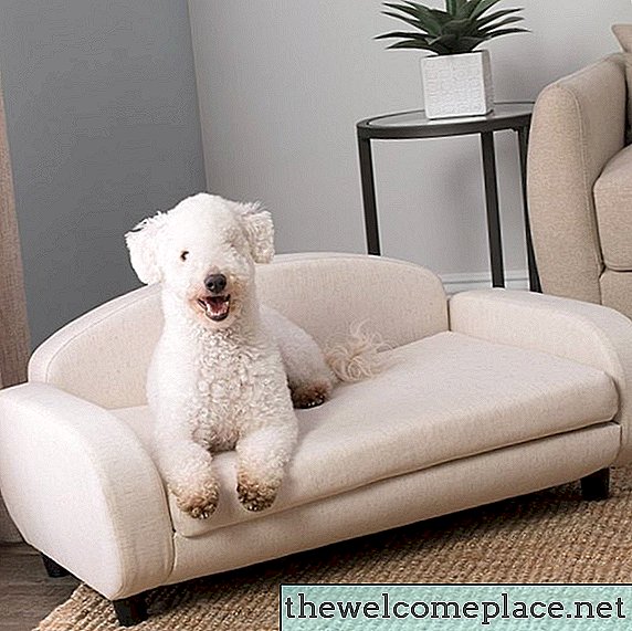 8 mini-meubles humains pour votre animal de compagnie