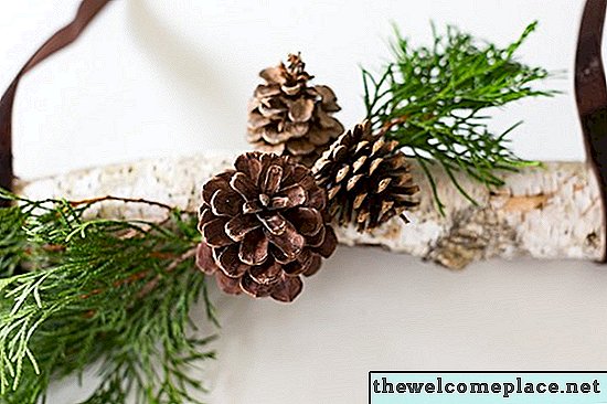 Tutto ciò di cui hai bisogno sono pochi materiali per creare questo decoro natalizio con ramo di pino e cono terroso