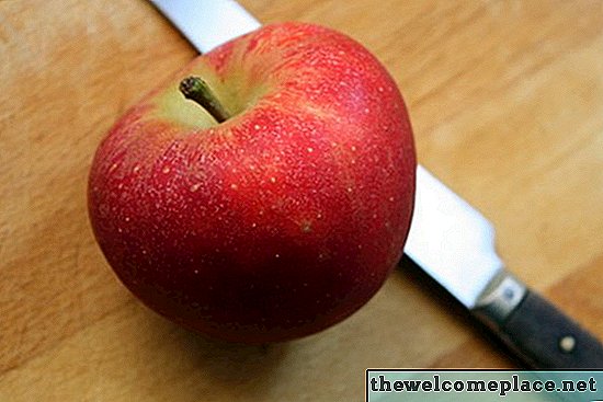Giống táo được trồng ở Oregon