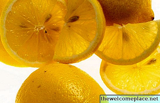 Er citron og kalk giftig med hunde?