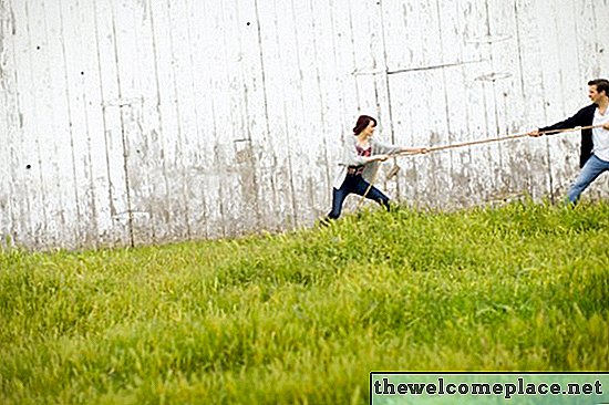 Het beste graszaad voor grasvelden in East Tennessee