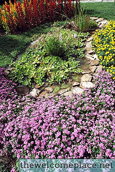 The Best Groundcover for Full Sun and Clay Soil