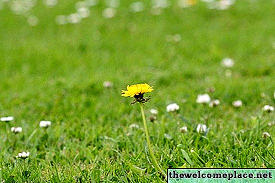 Los mejores herbicidas que no matan hierba