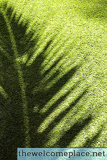 يمكن أن تنمو العشب في الضوء الاصطناعي؟