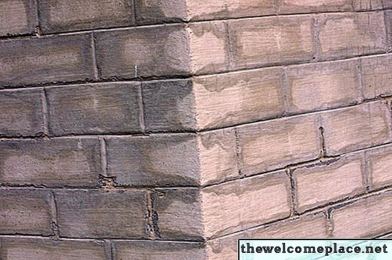 O molde pode se desenvolver em uma parede de tijolos?