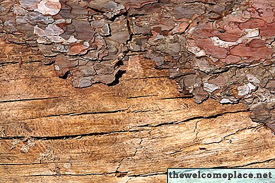 Le bois de mûrier peut-il être brûlé dans votre cheminée?