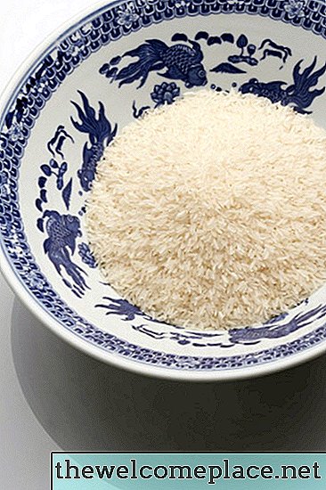 يمكنك إطعام الأرز الطيور؟