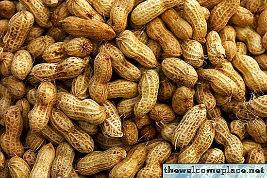 Você pode fertilizar com cascas de amendoim?