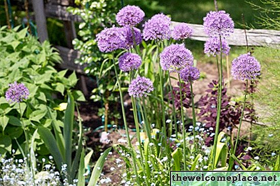 Pouvez-vous planter un jardin juste après la pose de Preen?