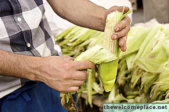 ¿Se puede usar hojas de maíz en el compost?