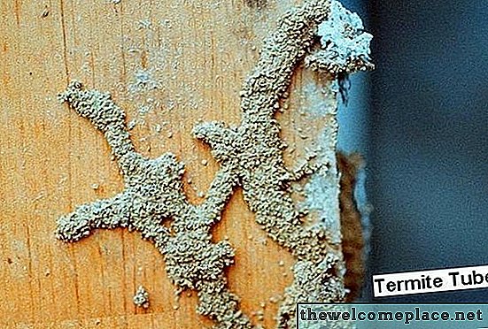 Oorzaken van termieten bij u thuis