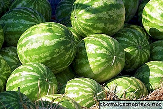 Et følgesvannsanlegg for vannmelon