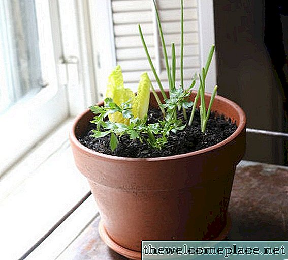 Erstellen Sie eine selbsttragende dekorative und essbare Fensterbank Pflanzer