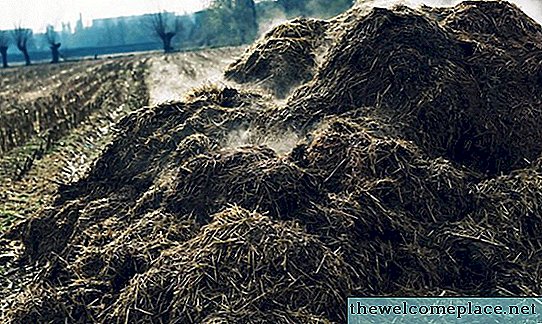 Der Unterschied zwischen kompostiertem und dehydriertem Kuhmist