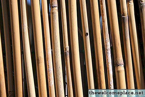 Diferença entre Reed e cerca de bambu