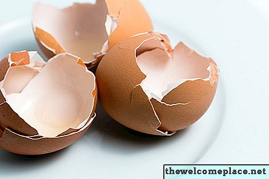 Est-ce que les coquilles d'œufs aiguisent une poubelle?
