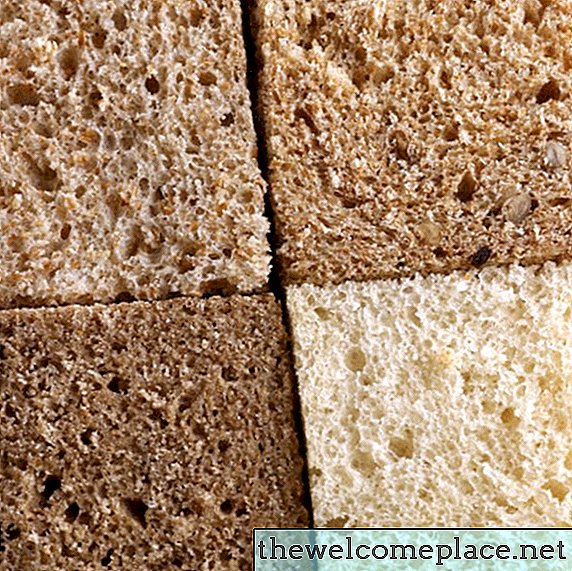 ¿Crecen los mismos tipos de moho en todos los tipos de pan?
