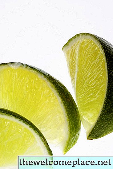 Apakah Lime Mengusir Serangga?