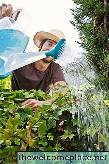 Účinky horúcej vody na rast rastlín