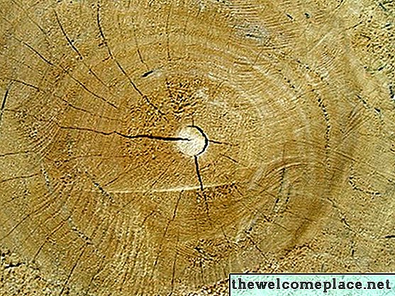 Die Auswirkungen von Wasser auf verschiedene Holzarten