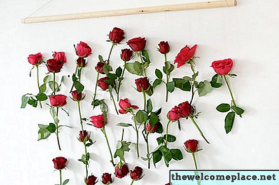 Katrai pusei vajadzētu būt šai DIY ziedu sienas pakarināšanai