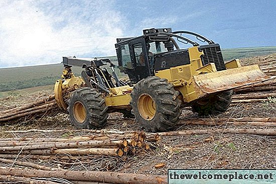 Fakten zu Brazilian Pine Lumber