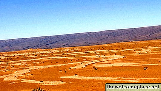 Cinq façons de conserver l'eau dans le désert