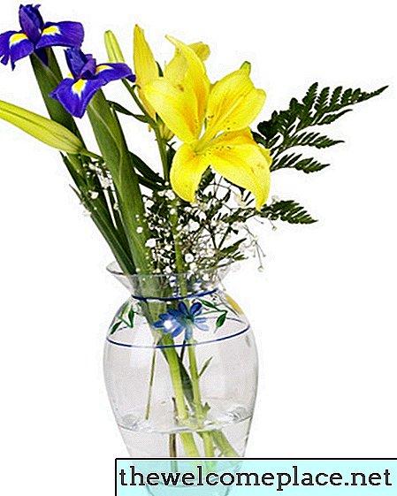 Ingredientes para conservantes de flores