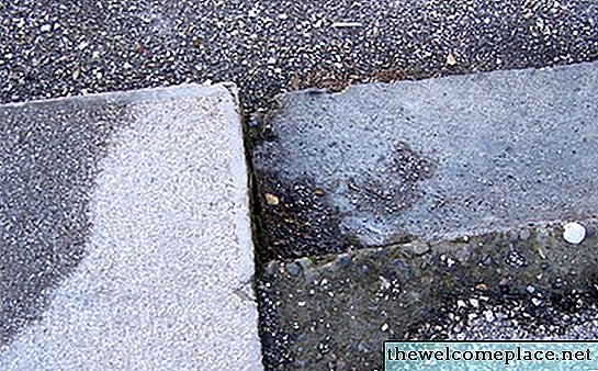 Uklar hvidskimmel vokser i beton