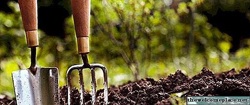 Enmiendas de suelo de jardín: materiales y técnicas