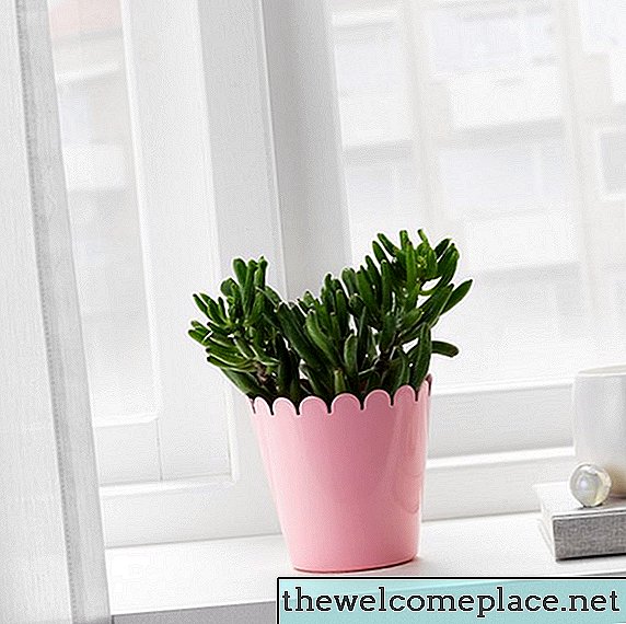 Alléluia: ces produits IKEA peuvent être utilisés pour contenir des plantes succulentes