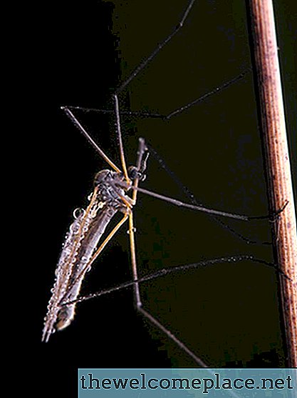 Hemmedelsmedel för myggavvisande