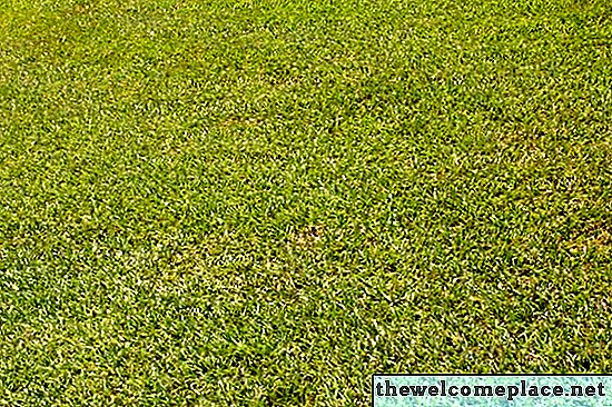 Home Remedy for Kill Moss in Lawns