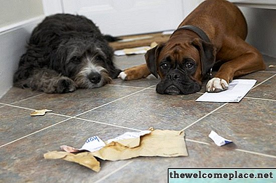Hemlagad husdjur säker golvstädare