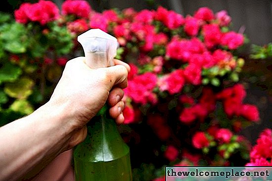 Spray caseiro de roseira