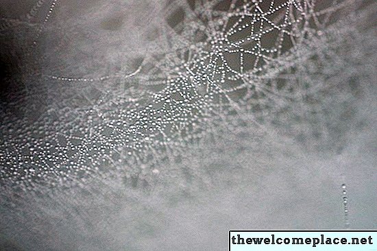 Hausgemachte Wege, um Spinnennetze aufzulösen