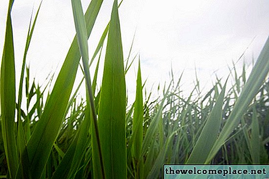 Wie kann ich dauerhaft Gras unter meinem Zaun entfernen?