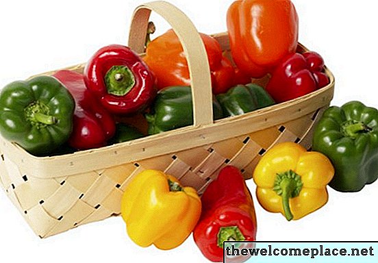 Wie können Sie den Unterschied zwischen Paprika und Gemüsepaprika erkennen?