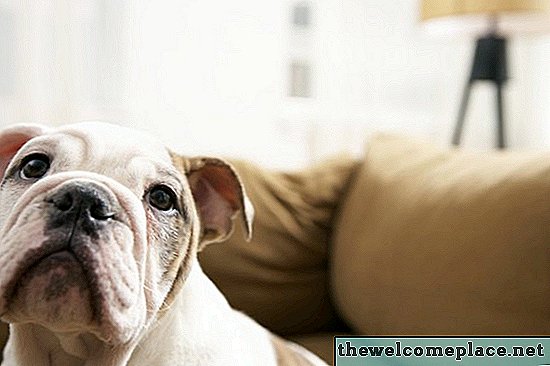 犬が引き裂いたソファを修正するにはどうすればよいですか？